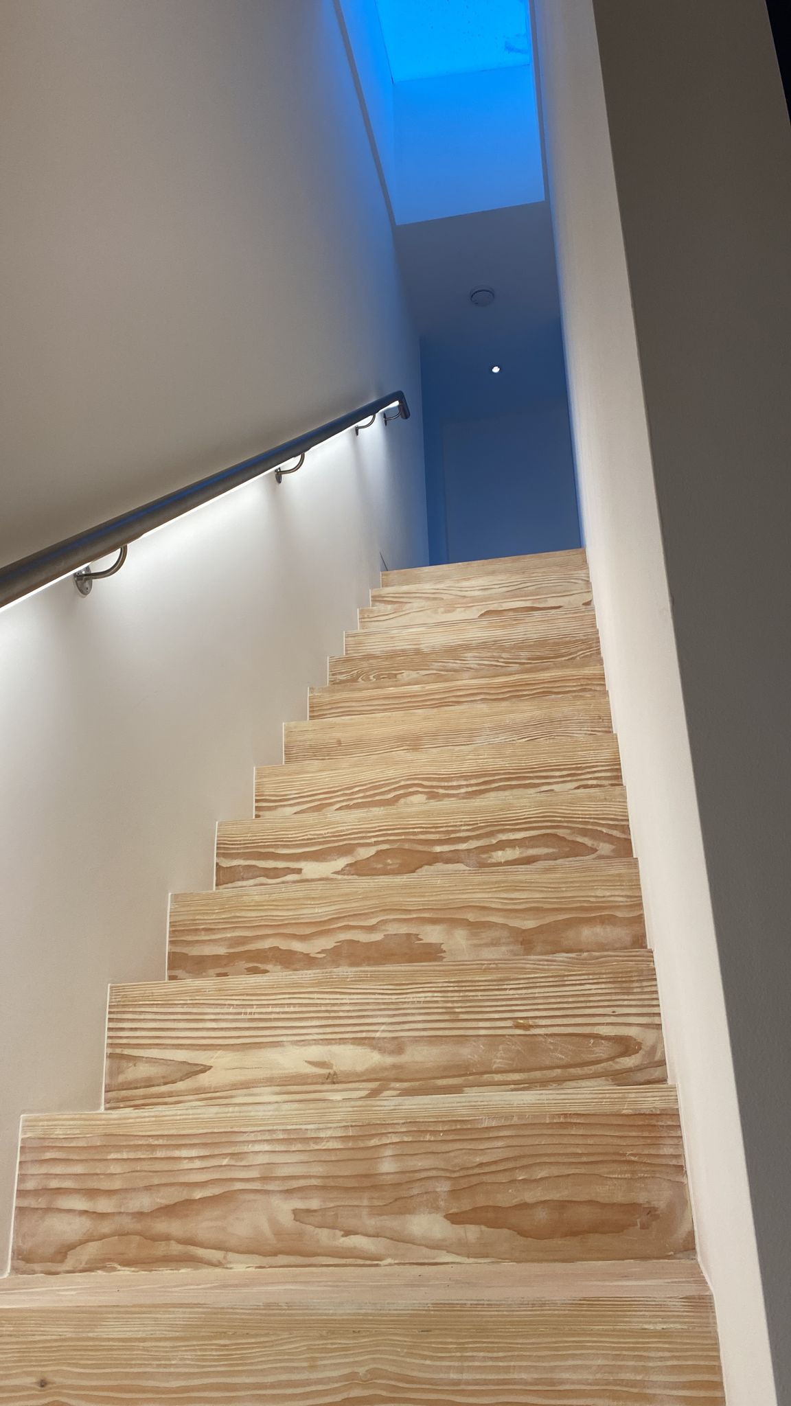 Ditton Grange - LED handrail 2